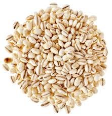 Barley Seeds